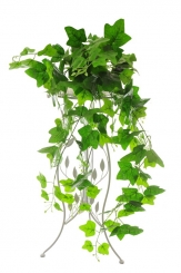 012 Veštaćke lozice   